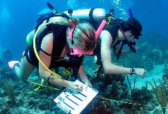 OS OCEANOS E A BIOLOGIA MARINHA